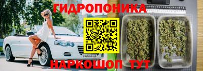 PSILOCYBIN Тверь