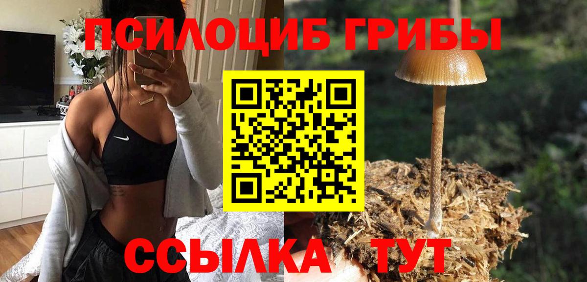 Орехово-Зуево  Галлюциногенные грибы Psilocybe  Вход с VPN 